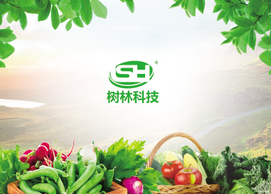 1604649513796330.png 封页2.png