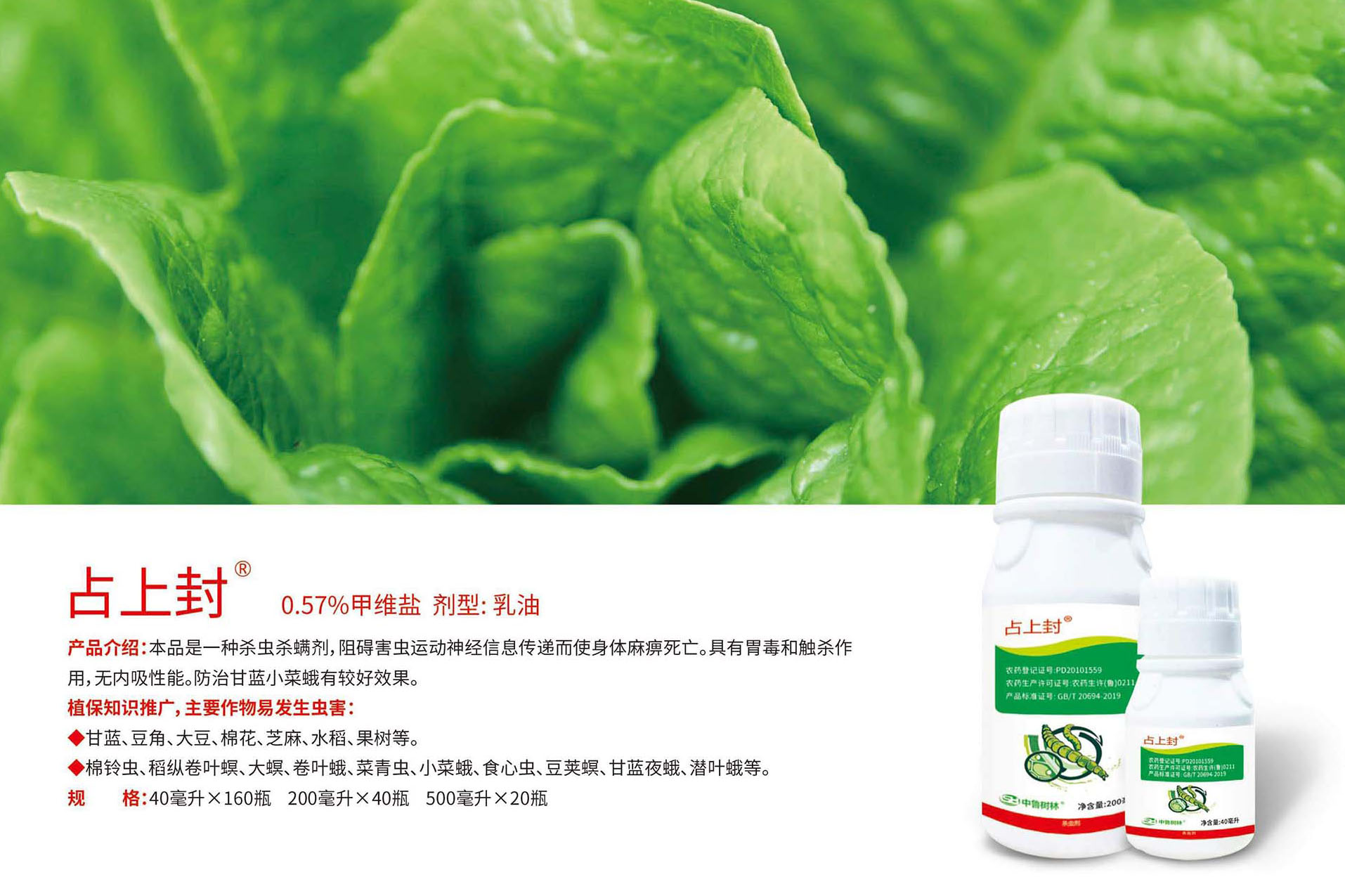 02-03-改 副本.jpg